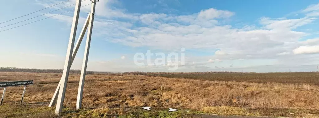 Участок в Ростовская область, Азовский район, с. Александровка  (6.0 ... - Фото 1