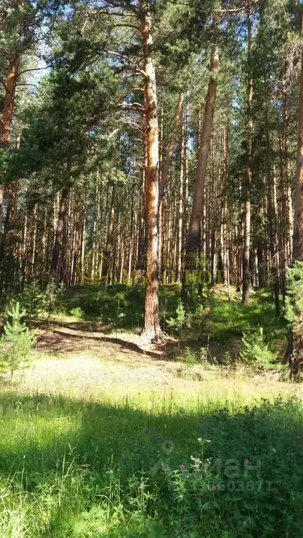 Участок в Свердловская область, Ревда муниципальный округ, пос. ... - Фото 1