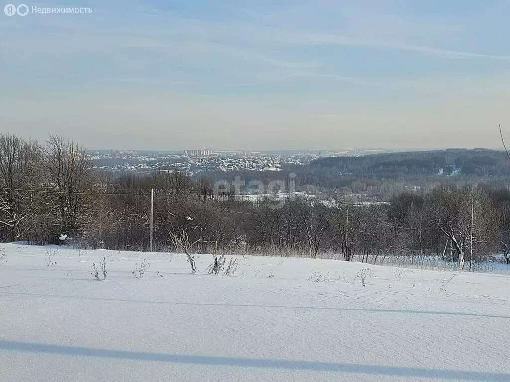 Участок в Дмитровский городской округ, деревня Елизаветино (17.5 м) - Фото 0