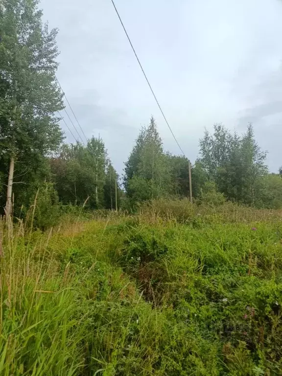 Участок в Карелия, Прионежский район, Деревянское с/пос, д. Ужесельга  ... - Фото 1