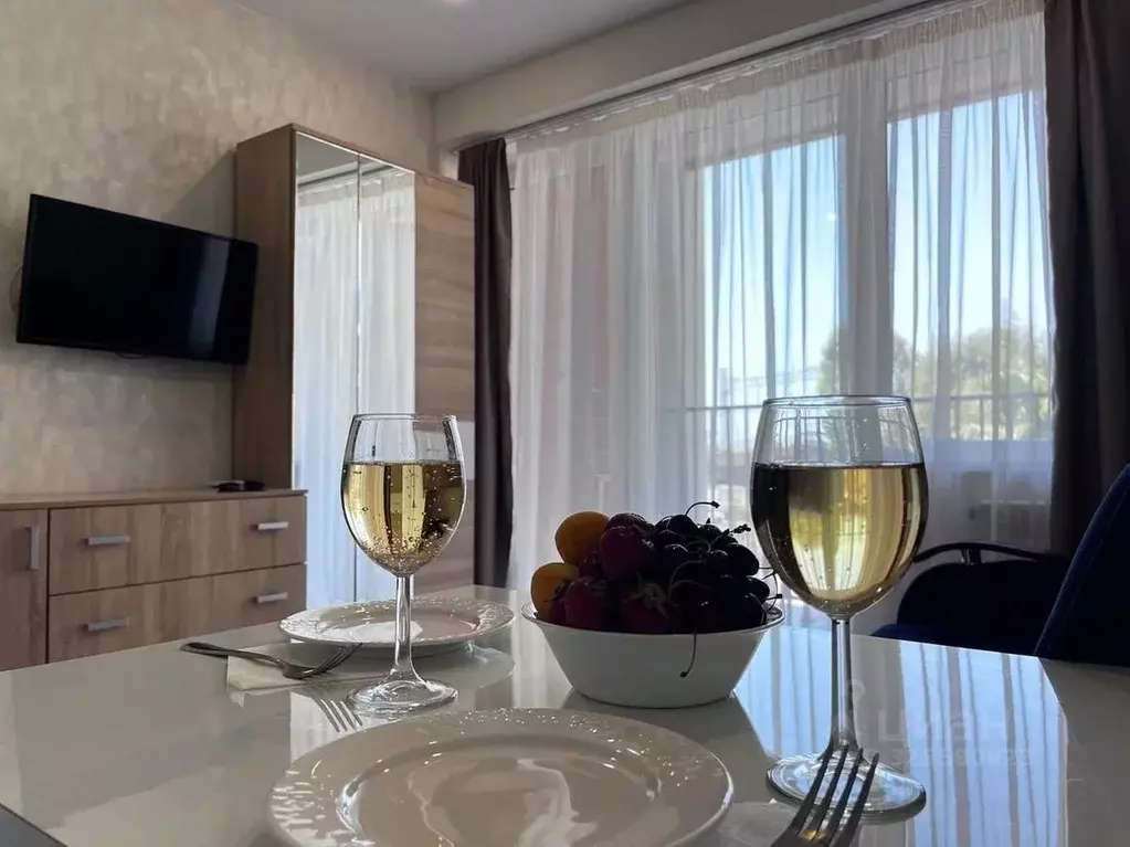 Студия Краснодарский край, Сочи городской округ, Дагомыс пгт ул. ... - Фото 2