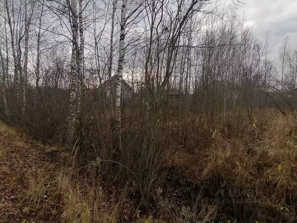 Участок в Московская область, Куровское Орехово-Зуевский городской ... - Фото 2