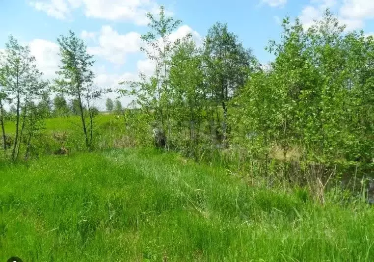 Участок в Хабаровский край, Хабаровск ул. Мичурина-11, 556 (6.0 сот.) - Фото 2