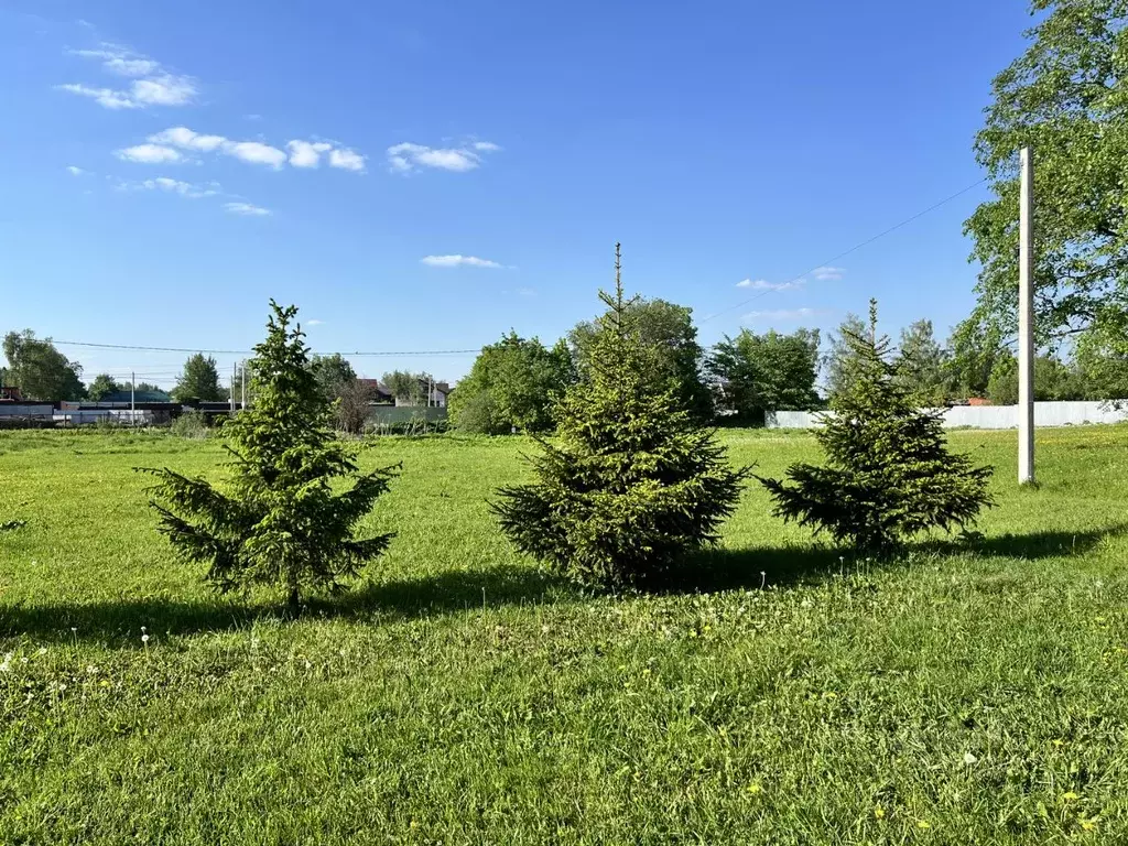 Участок в Московская область, Дмитровский муниципальный округ, д. ... - Фото 2