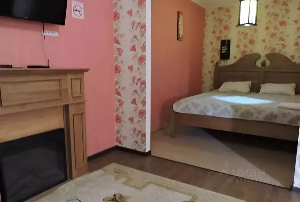 Комната Мордовия, Зубова Поляна рп ул. Советская, 2 (26.0 м) - Фото 1