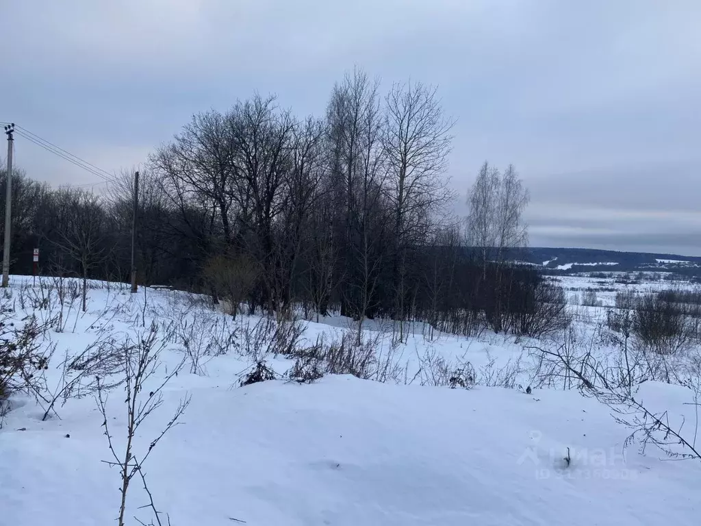 Участок в Московская область, Клин городской округ, д. Боблово  (22.43 ... - Фото 0