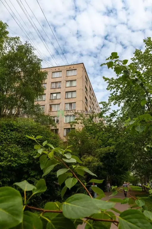 1-к. квартира, 29 м, 9/9 эт. - Фото 0
