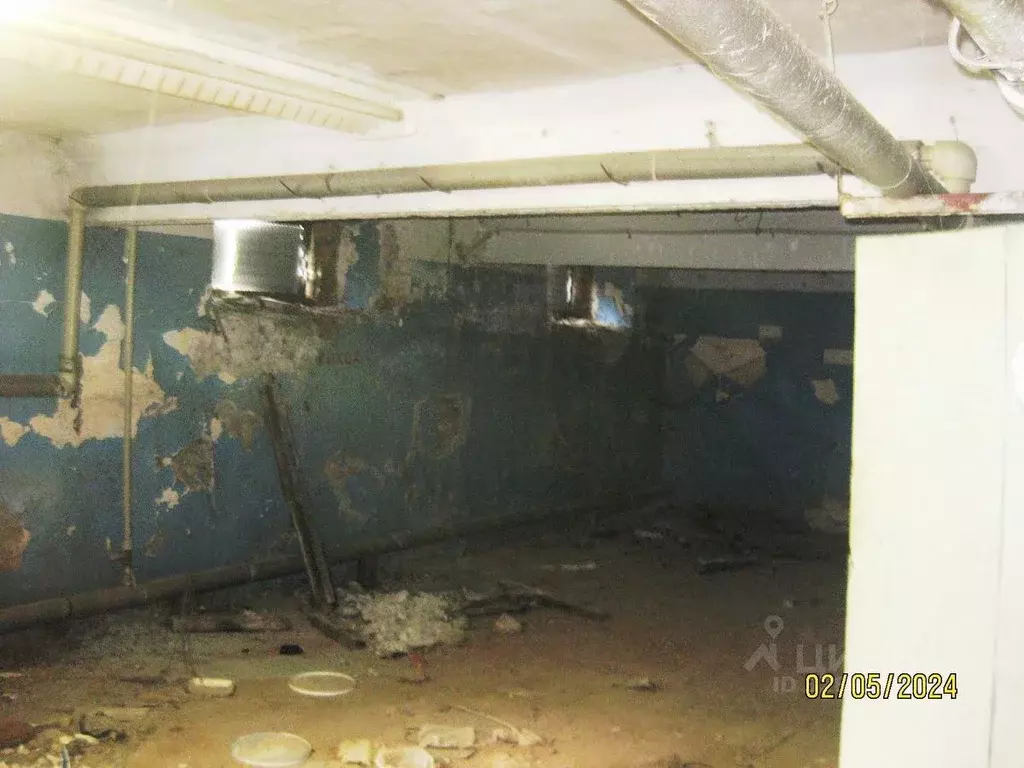 Помещение свободного назначения в Нижегородская область, Нижний ... - Фото 1