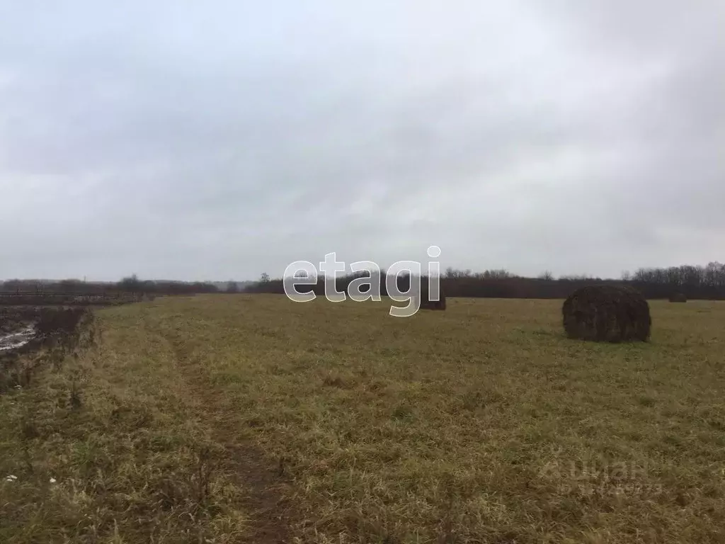 Участок в Архангельская область, Котласский муниципальный округ, д. ... - Фото 1