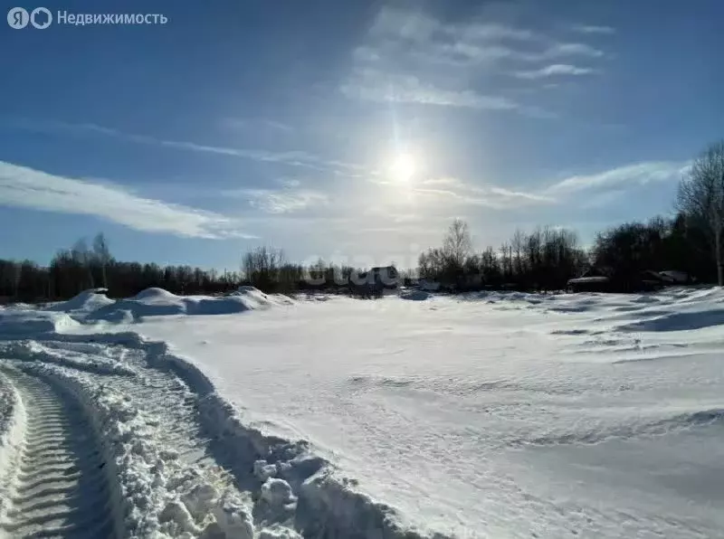 Участок в село Волчиха, улица Карла Маркса (10 м) - Фото 0