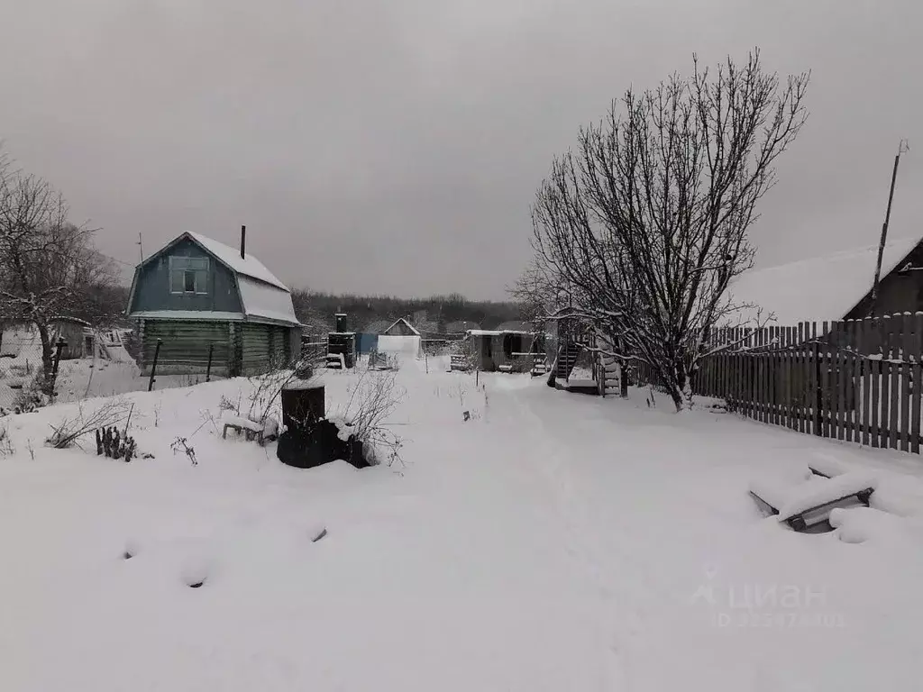 Участок в Нижегородская область, Выкса городской округ, д. Змейка ул. ... - Фото 1