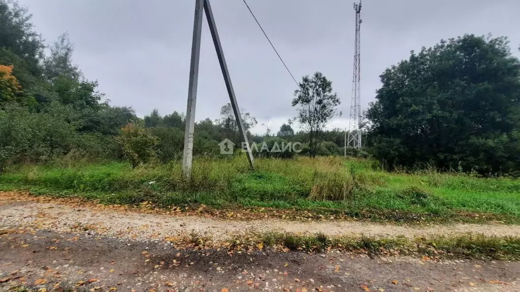 Участок в Владимирская область, Судогодский район, Лавровское ... - Фото 2