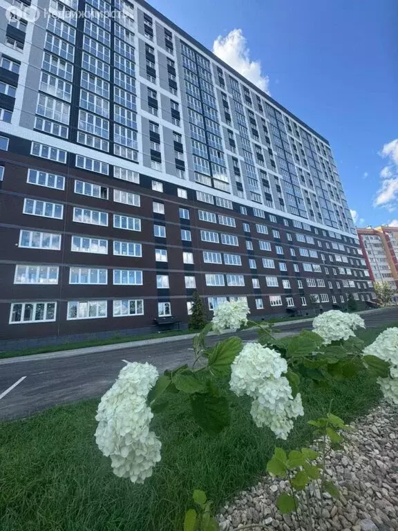 1-комнатная квартира: Брянск, проспект Станке Димитрова, 67к7 (34.3 м) - Фото 1