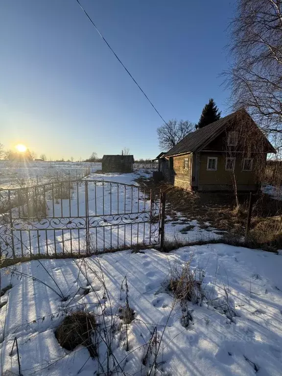 Участок в Вологодская область, Вытегорский район, с. Ошта ул. ... - Фото 1