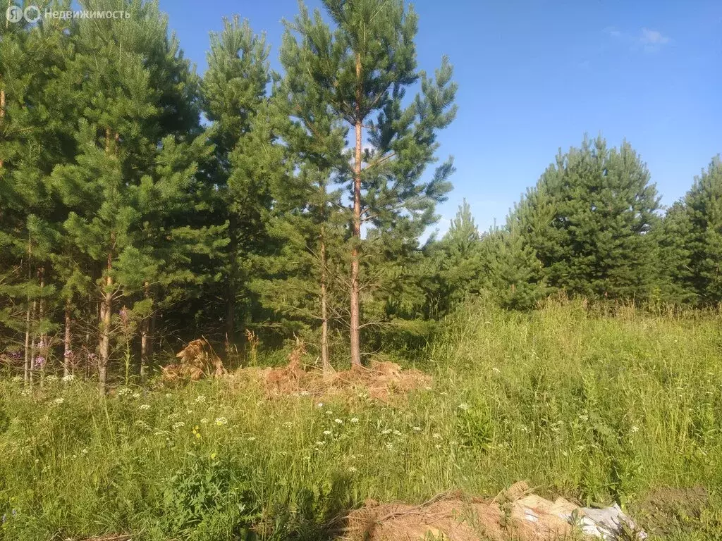 Участок в Екатеринбург, ДНП Аэродром, Ереванская улица (10 м) - Фото 1