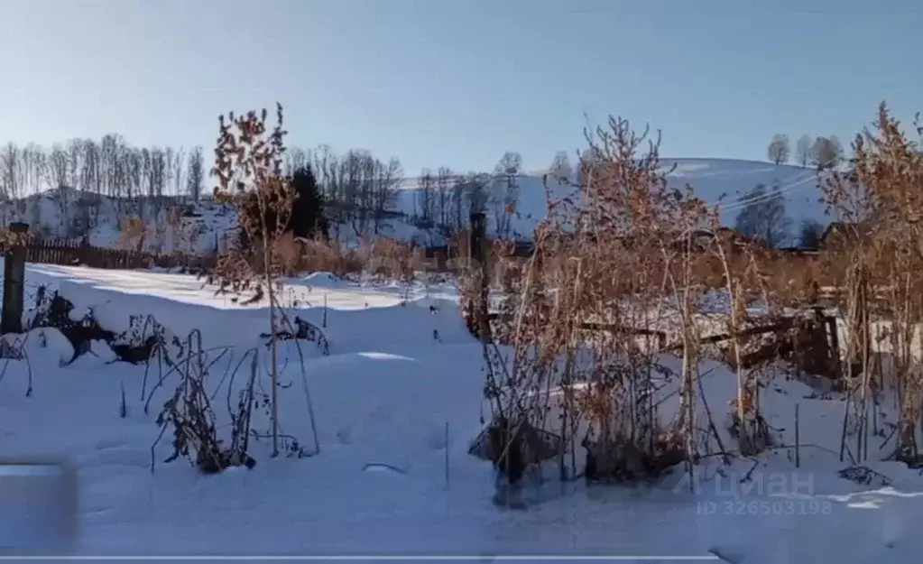 Участок в Алтайский край, Алтайский район, с. Нижнекаянча ул. Школьная ... - Фото 1