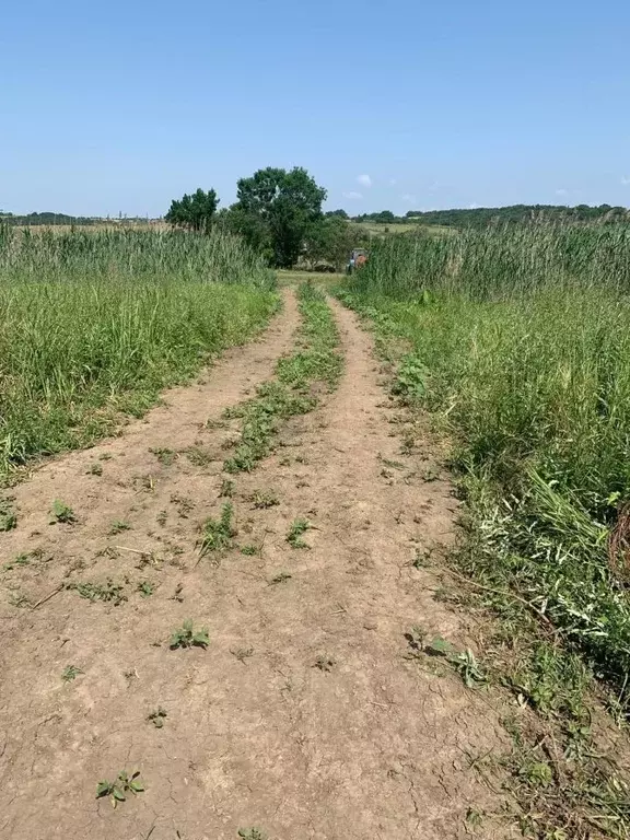 Участок в Краснодарский край, Анапа муниципальный округ, Иванов хут. ... - Фото 1