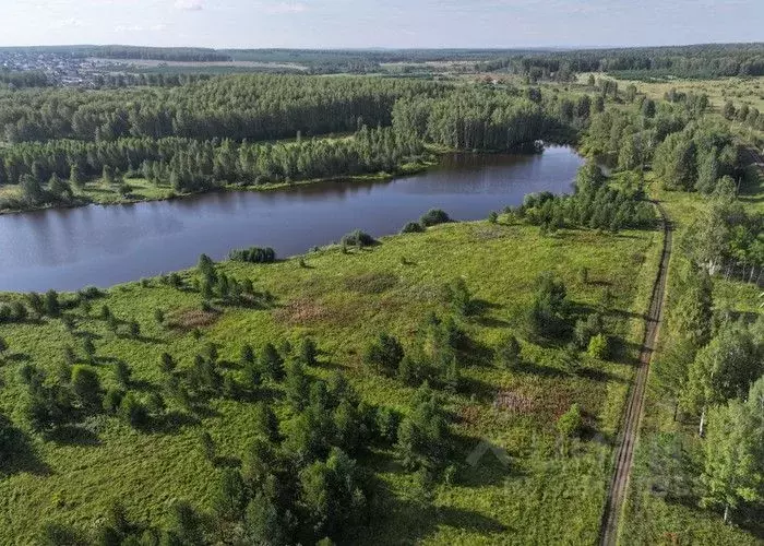 Участок в Свердловская область, Екатеринбург Шабровские дачи жилой ... - Фото 2