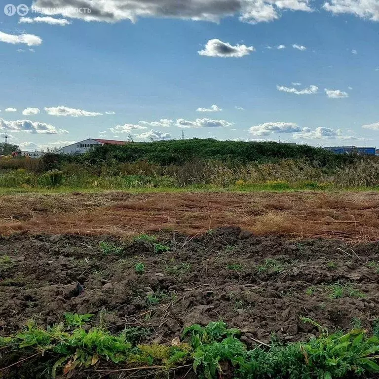 Участок в село Тополево, квартал Удачный (12.7 м) - Фото 0