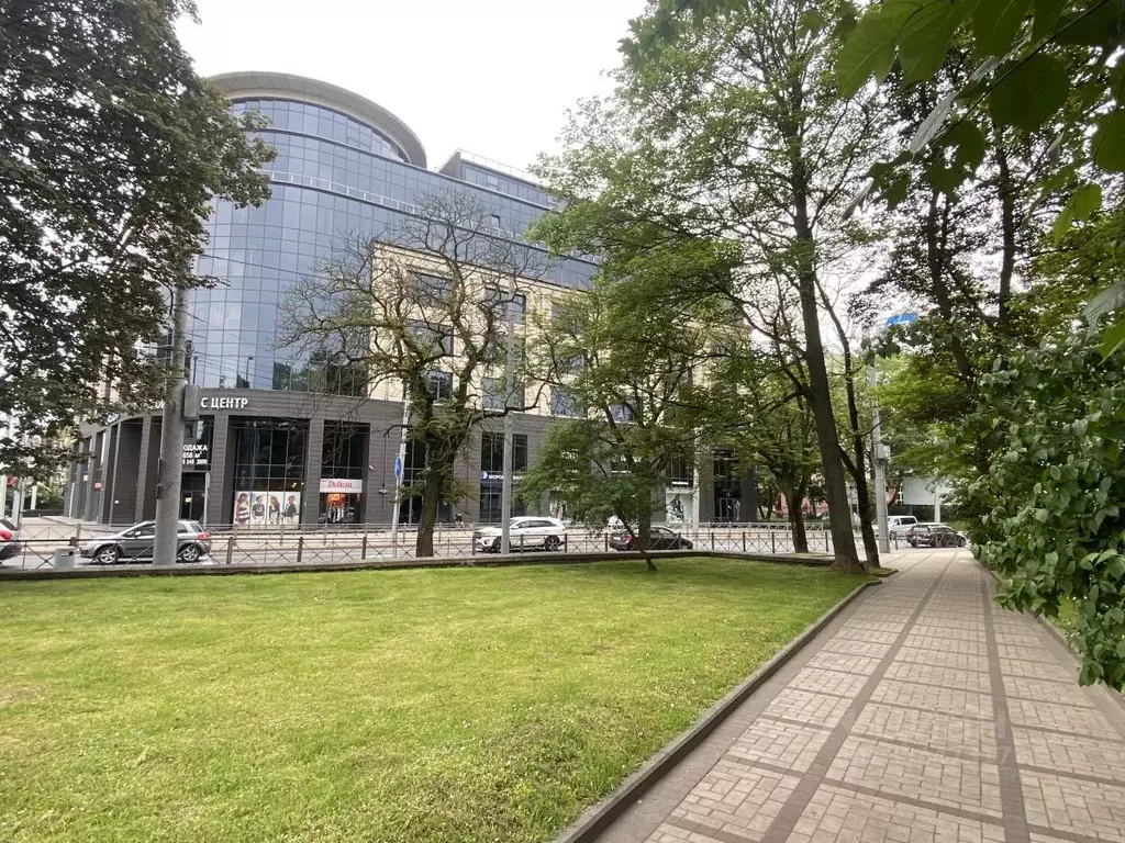 Торговая площадь в Калининградская область, Калининград Театральная ... - Фото 2