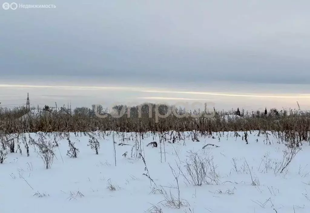 Участок в Тюменский район, село Борки (7 м) - Фото 0