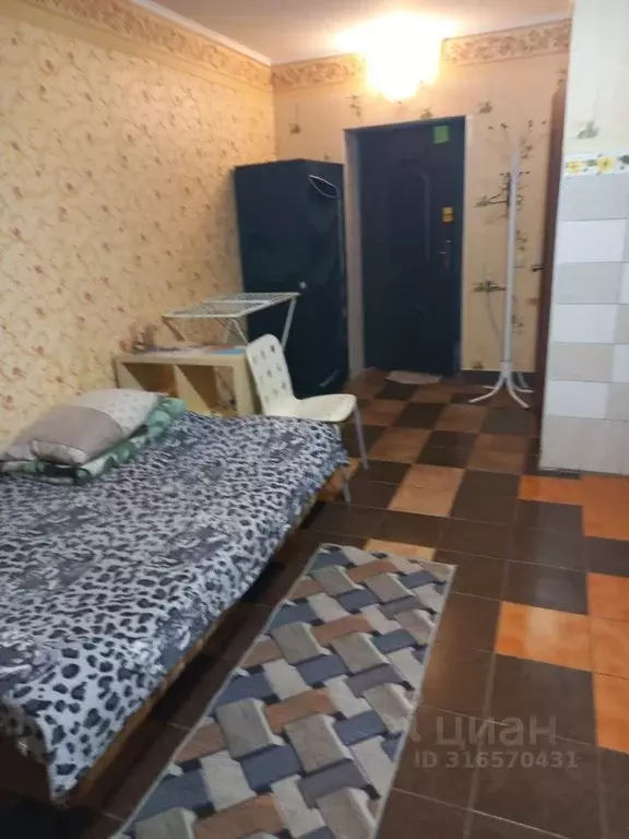 Студия Новосибирская область, Новосибирск Торфяная ул., 107/1 (25.0 м) - Фото 1