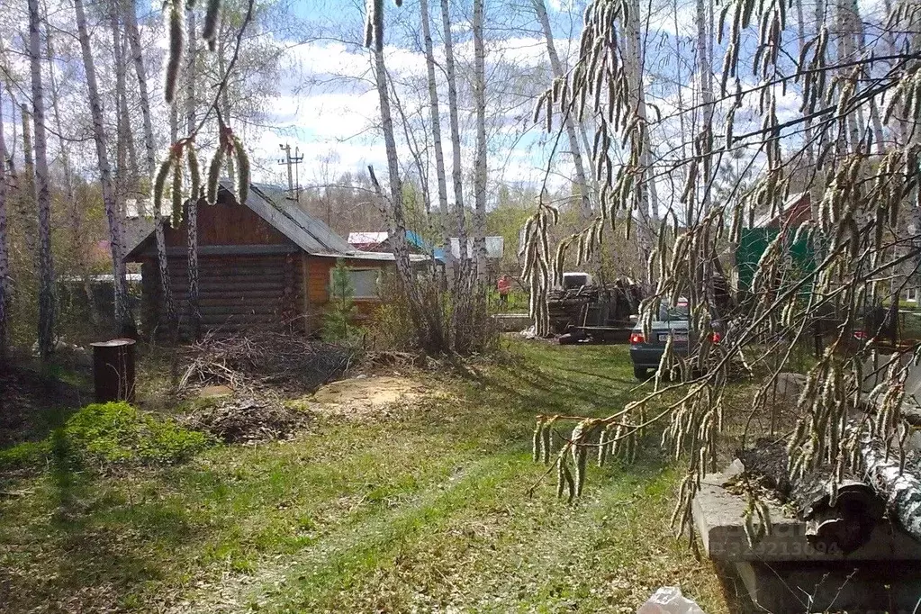 Участок в Челябинская область, Сосновский муниципальный округ, ... - Фото 2