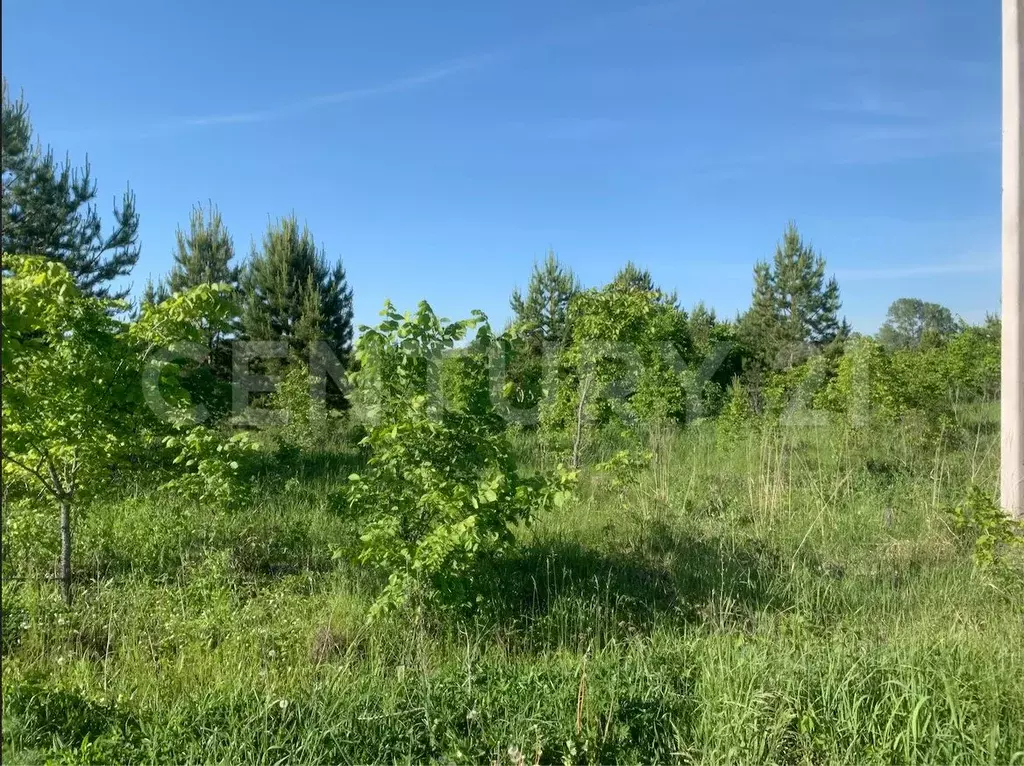 Участок в Башкортостан, Иглинский район, Акбердинский сельсовет, ... - Фото 0