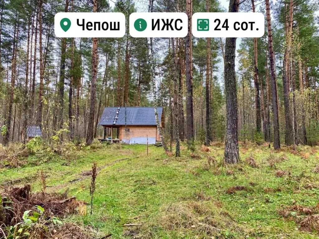 Участок в Алтай, Чемальский район, с. Чепош  (24.0 сот.) - Фото 0