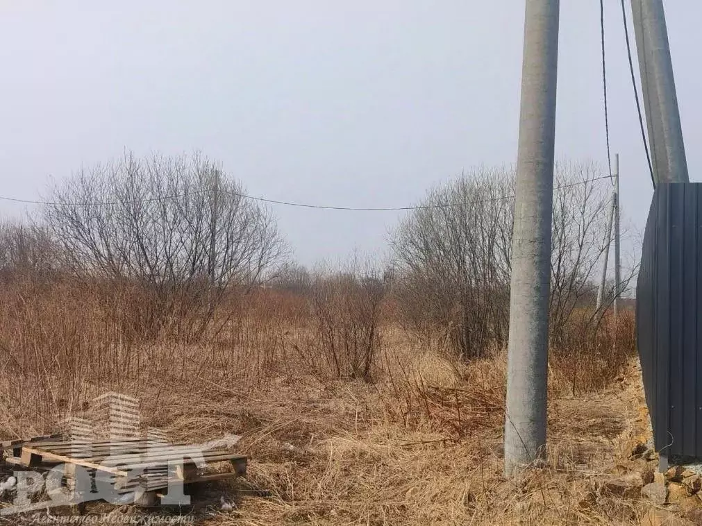 Участок в Приморский край, Артемовский городской округ, с. Кневичи ... - Фото 0