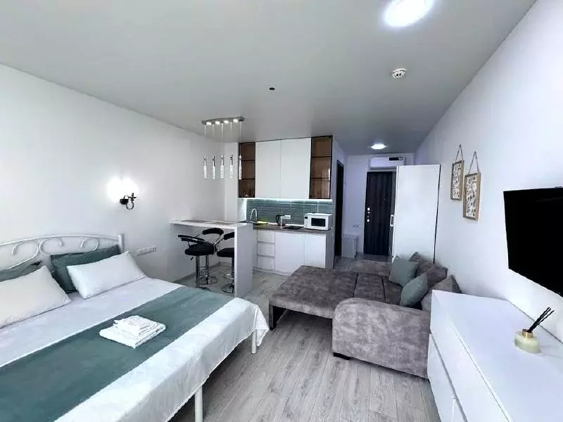 Студия Краснодарский край, Сочи ул. Просвещения, 84 (28.0 м) - Фото 2