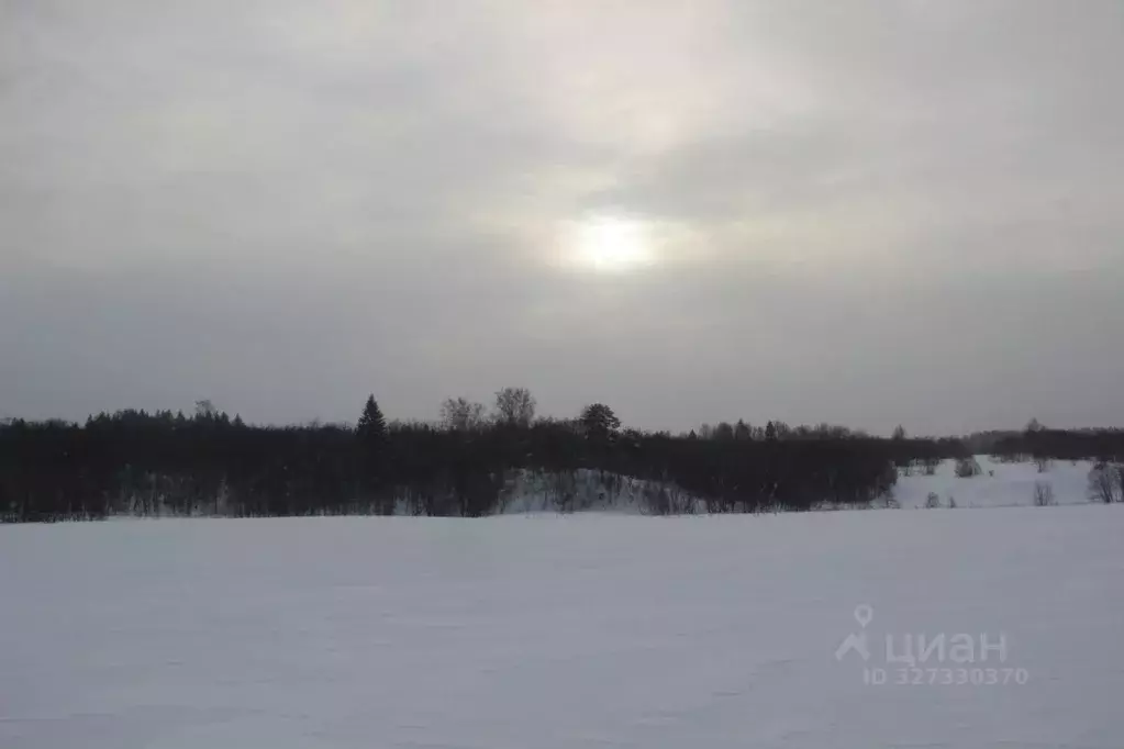 Участок в Московская область, Шаховская муниципальный округ, д. ... - Фото 1