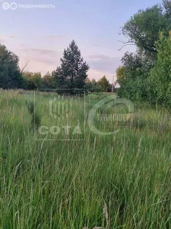 Участок в село Староживотинное, улица Артамонова (20 м) - Фото 0