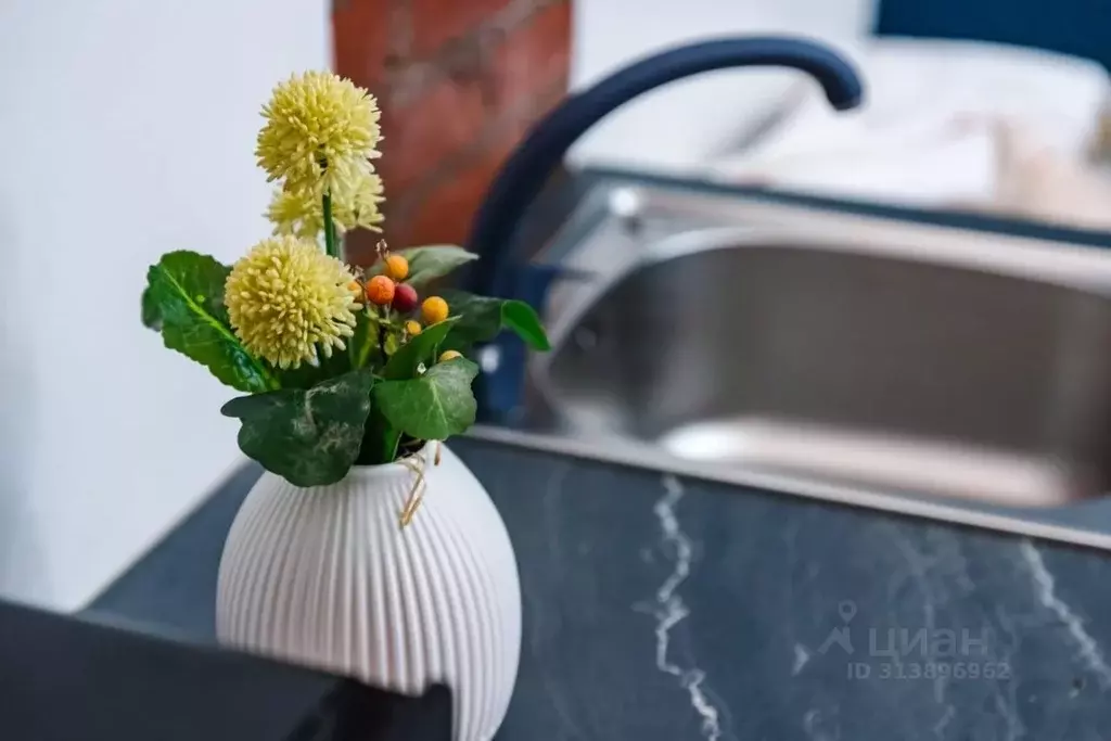 Студия Амурская область, Благовещенск ул. Ленина, 148 (15.0 м) - Фото 2