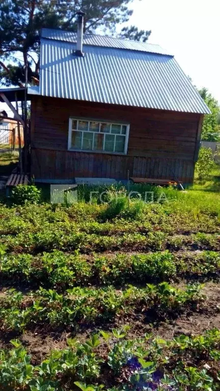 Дом в Алтайский край, Первомайский район, Связист СНТ ул. Базовая, 17 ... - Фото 1