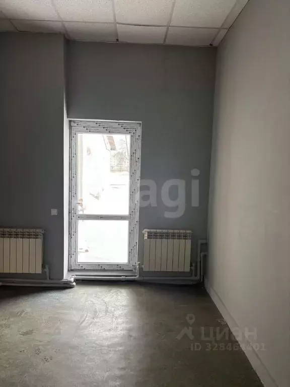 Офис в Псковская область, Псков ул. Леона Поземского, 110 (36 м) - Фото 2