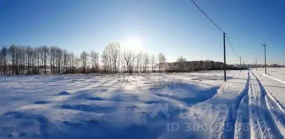 Участок в Свердловская область, Белоярский городской округ, пос. ... - Фото 1