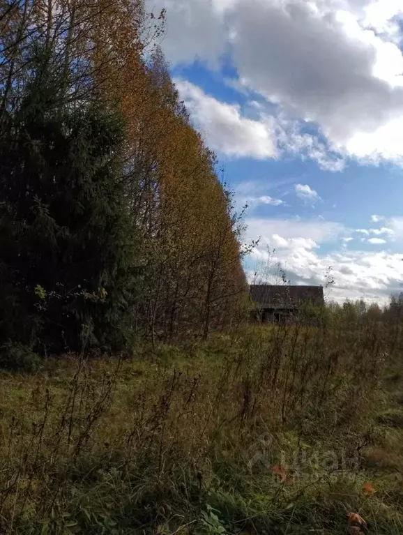 Участок в Новгородская область, Валдайский район, Яжелбицкое с/пос, д. ... - Фото 1