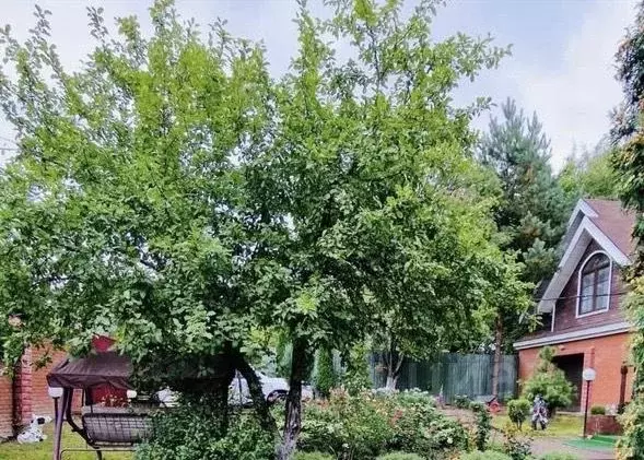 Дом в Московская область, Пушкино Трудовая ул., 13 (150 м) - Фото 1