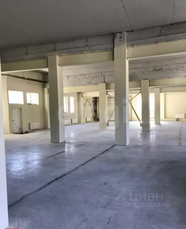 Торговая площадь в Ленинградская область, Выборг ул. Гагарина, 2А ... - Фото 2