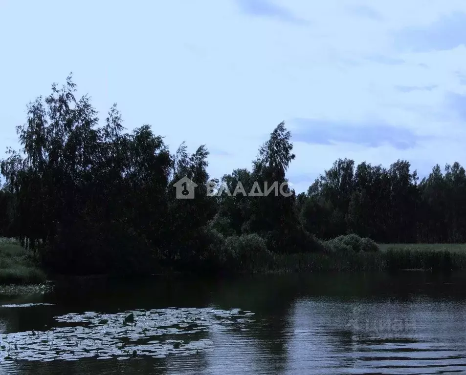 Участок в Нижегородская область, Сосновский муниципальный округ, д. ... - Фото 1