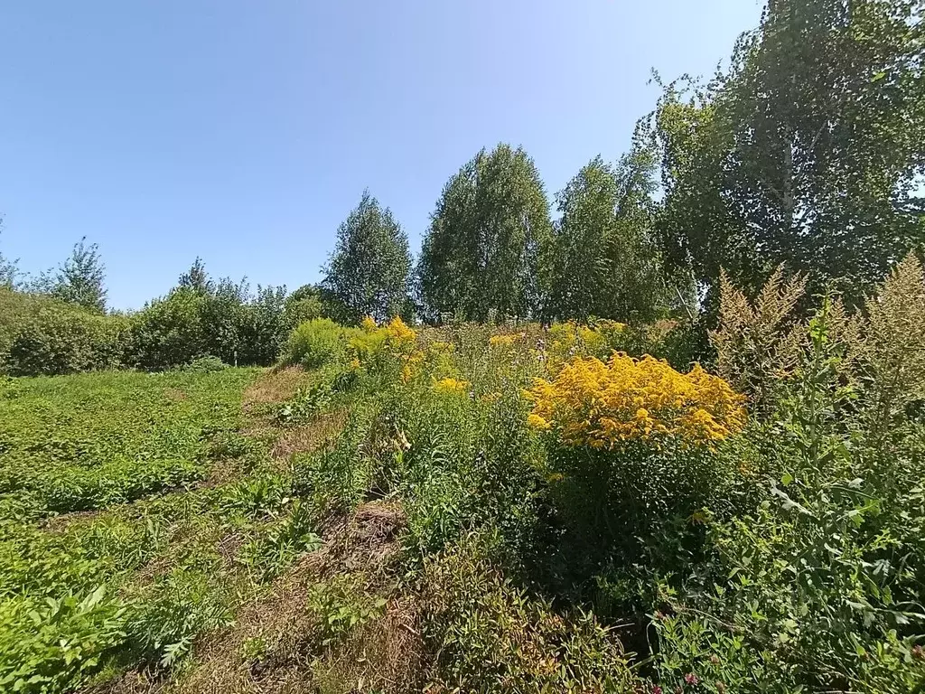 Участок в Пензенская область, Пенза ул. Широкая (6.8 сот.) - Фото 1