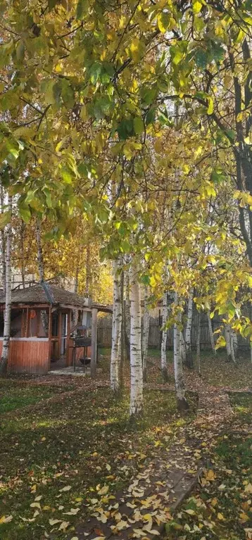 Дом в Нижегородская область, Чкаловск муниципальный округ, с. Катунки ... - Фото 1