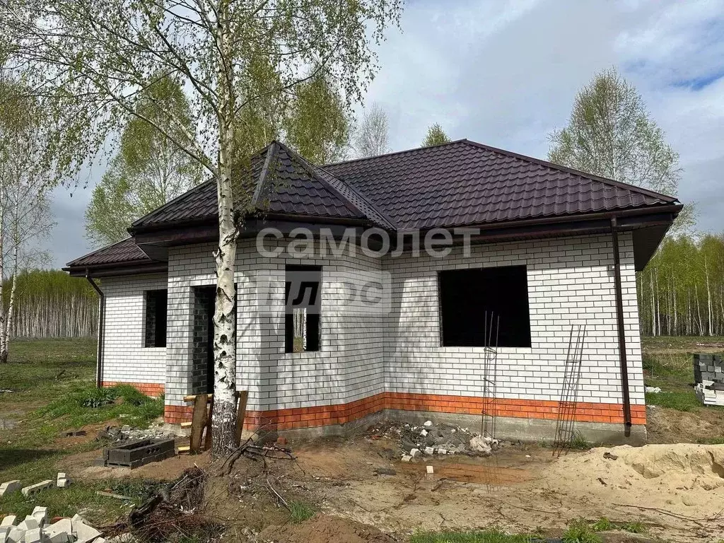 Дом в Нижегородская область, Бор городской округ, д. Васильково ул. ... - Фото 0