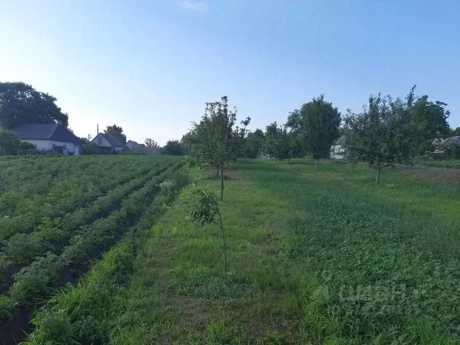 Участок в Московская область, Клин городской округ, д. Троицкое  ... - Фото 1