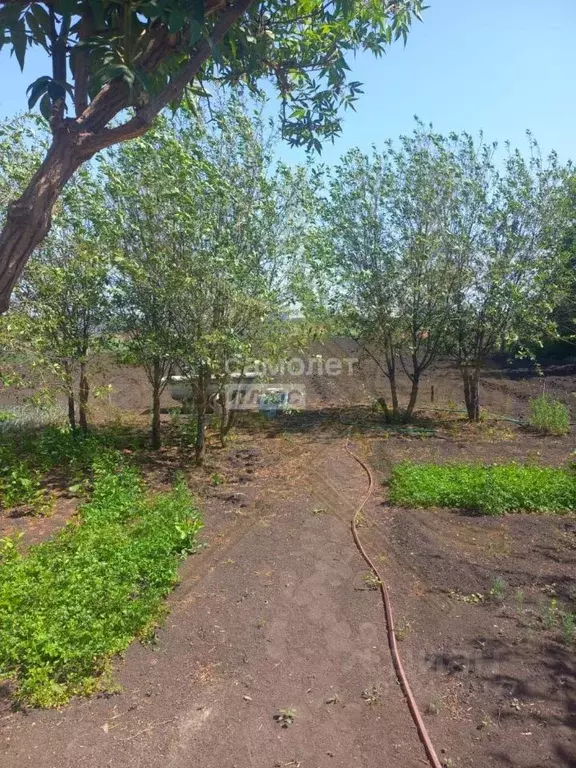 Дом в Челябинская область, Чебаркуль Мисяшская ул., 27 (39 м) - Фото 2