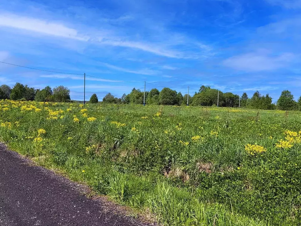 Участок в Московская область, Клин городской округ, Коськово кп 30 ... - Фото 2