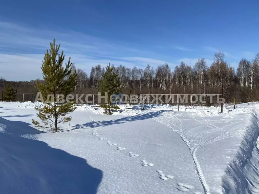 Участок в Тюменская область, Нижнетавдинский район, с. Иска ул. Карла ... - Фото 0