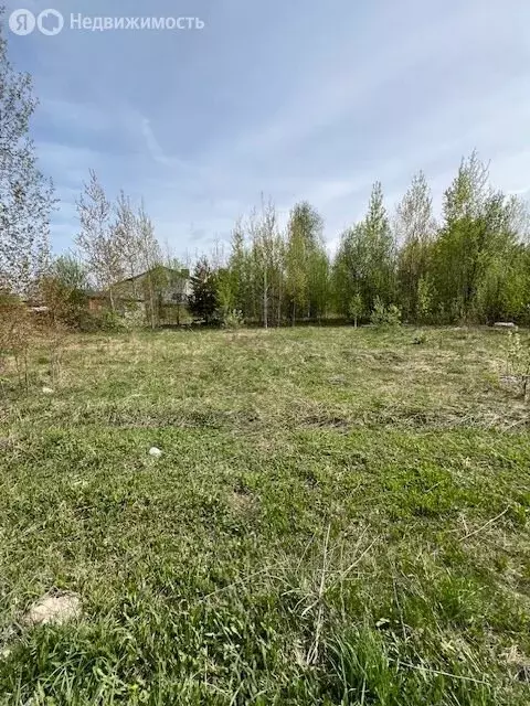 Участок в Нижегородская область, Балахнинский муниципальный округ, ... - Фото 1