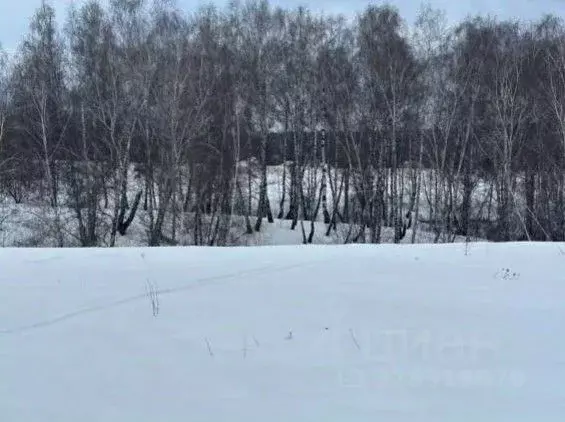 Участок в Московская область, Коломна городской округ, с. Редькино  ... - Фото 1